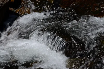 DSC_3696 (Large).JPG